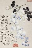 A Page (Dragonfly) from Flowers and Bird, Vegetables and Fruits-Li Shan-Giclee Print