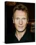 Liam Neeson-null-Stretched Canvas