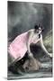 Liane De Vries, Opera Singer, Early 20th Century-null-Mounted Giclee Print