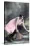 Liane De Vries, Opera Singer, Early 20th Century-null-Stretched Canvas
