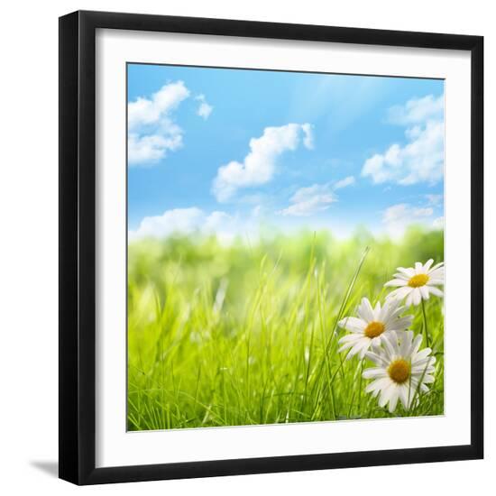 Premium Photographic Print, , large