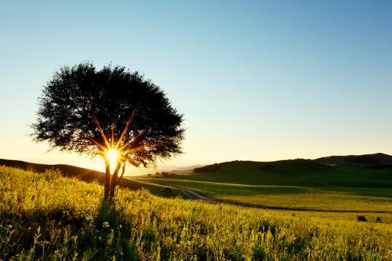 Premium Photographic Print, , large
