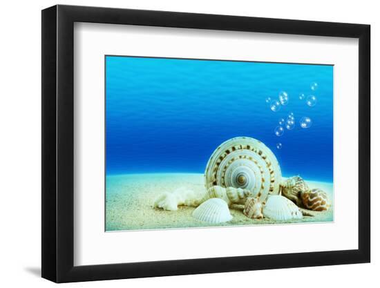 Premium Photographic Print, , large
