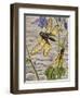 Libelloides Macaronius, Ascalaphidae-null-Framed Premium Giclee Print