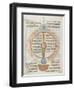 Liber Floridus by Lambert of Saint-Omer: Astrology-null-Framed Giclee Print