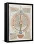 Liber Floridus by Lambert of Saint-Omer: Astrology-null-Framed Stretched Canvas