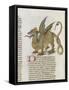 Liber Floridus by Lambert of Saint-Omer: Dragon Major-null-Framed Stretched Canvas