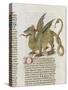 Liber Floridus by Lambert of Saint-Omer: Dragon Major-null-Stretched Canvas