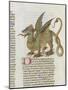 Liber Floridus by Lambert of Saint-Omer: Dragon Major-null-Mounted Giclee Print
