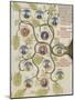 Liber Floridus par Lambertus : arbre de vertus, arbre de sagesse-null-Mounted Giclee Print