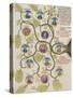 Liber Floridus par Lambertus : arbre de vertus, arbre de sagesse-null-Stretched Canvas