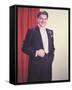 Liberace-null-Framed Stretched Canvas