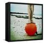 Liberta-Ambra-Framed Stretched Canvas