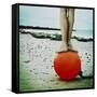 Liberta-Ambra-Framed Stretched Canvas