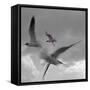 Libertad - Pop-Moises Levy-Framed Stretched Canvas