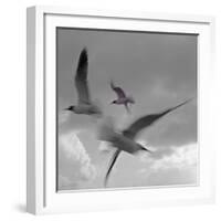 Libertad - Pop-Moises Levy-Framed Photographic Print