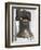 Liberty Bell, Philadelphia, Pennsylvania, USA-De Mann Jean-Pierre-Framed Photographic Print