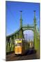 Liberty Bridge and Tram, Budapest, Hungary, Europe-Neil Farrin-Mounted Premium Photographic Print