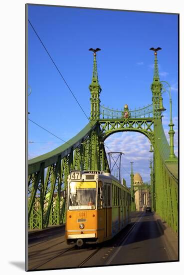 Liberty Bridge and Tram, Budapest, Hungary, Europe-Neil Farrin-Mounted Photographic Print