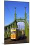 Liberty Bridge and Tram, Budapest, Hungary, Europe-Neil Farrin-Mounted Photographic Print