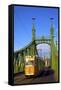 Liberty Bridge and Tram, Budapest, Hungary, Europe-Neil Farrin-Framed Stretched Canvas