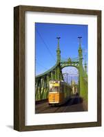 Liberty Bridge and Tram, Budapest, Hungary, Europe-Neil Farrin-Framed Photographic Print