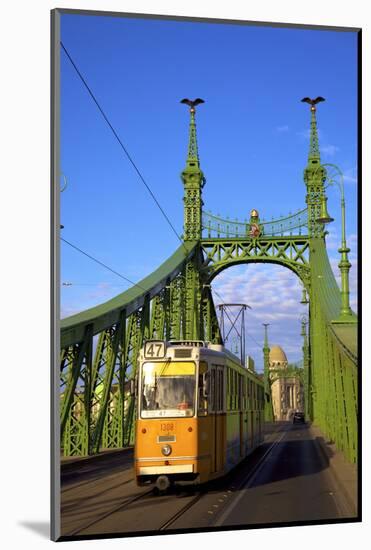 Liberty Bridge and Tram, Budapest, Hungary, Europe-Neil Farrin-Mounted Photographic Print