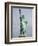 Liberty Crown-Richard Drew-Framed Photographic Print