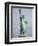 Liberty Crown-Richard Drew-Framed Photographic Print