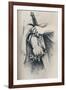 Liberty is not Anarchy, 1886, (1929)-Thomas Nast-Framed Giclee Print