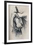 Liberty is not Anarchy, 1886, (1929)-Thomas Nast-Framed Giclee Print