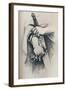 Liberty is not Anarchy, 1886, (1929)-Thomas Nast-Framed Giclee Print