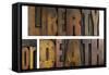 Liberty or Death-enterlinedesign-Framed Stretched Canvas