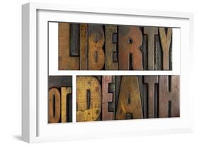 Liberty or Death-enterlinedesign-Framed Art Print