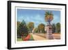 Liberty Park, Salt Lake City, Utah-null-Framed Art Print