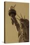 Liberty's Gaze-Alan Copson-Stretched Canvas