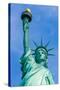 Liberty Statue New York American Symbol USA US-holbox-Stretched Canvas
