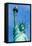 Liberty Statue New York American Symbol USA US-holbox-Framed Stretched Canvas