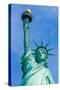 Liberty Statue New York American Symbol USA US-holbox-Stretched Canvas