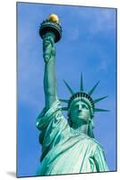 Liberty Statue New York American Symbol USA US-holbox-Mounted Photographic Print