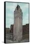 Liberty Tower-null-Framed Stretched Canvas