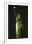 Liberty Vertical-Robert Goldwitz-Framed Photographic Print