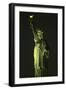 Liberty Vertical-Robert Goldwitz-Framed Photographic Print