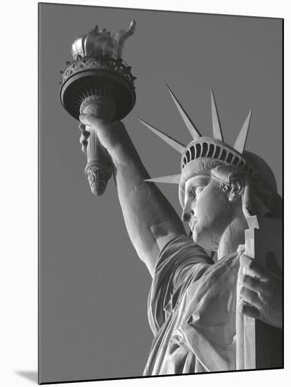 Liberty with Torch-Christopher Bliss-Mounted Art Print