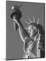 Liberty with Torch-Chris Bliss-Mounted Art Print