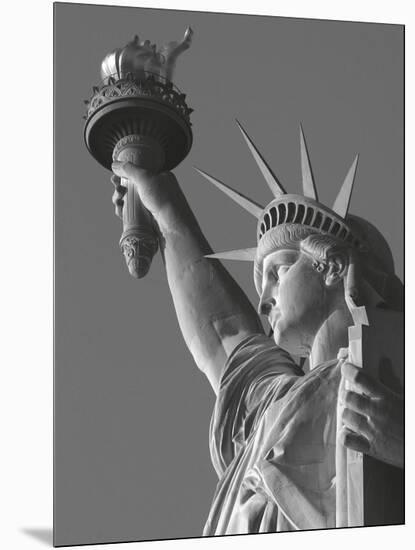 Liberty with Torch-Chris Bliss-Mounted Art Print