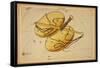Libra Constellation, Zodiac Sign, 1825-Science Source-Framed Stretched Canvas