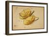 Libra Constellation, Zodiac Sign, 1825-Science Source-Framed Giclee Print