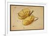 Libra Constellation, Zodiac Sign, 1825-Science Source-Framed Giclee Print