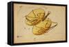 Libra Constellation, Zodiac Sign, 1825-Science Source-Framed Stretched Canvas